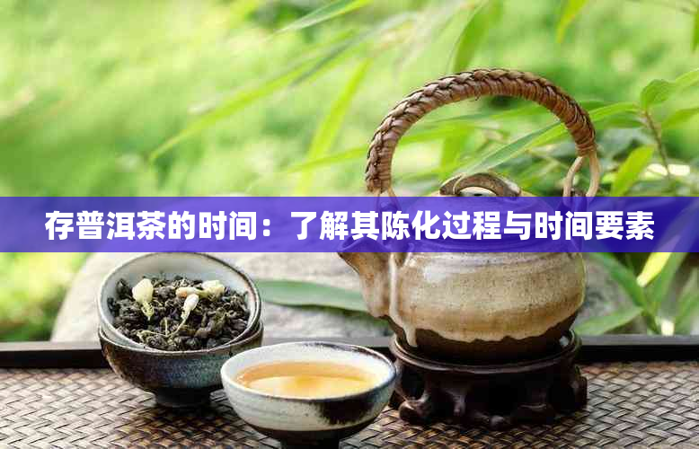 存普洱茶的时间：了解其陈化过程与时间要素