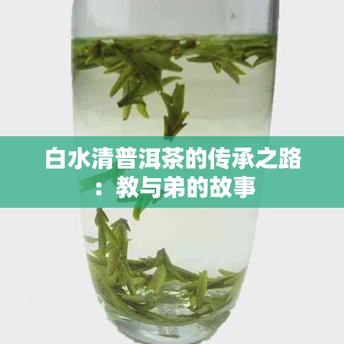 白水清普洱茶的传承之路：教与弟的故事