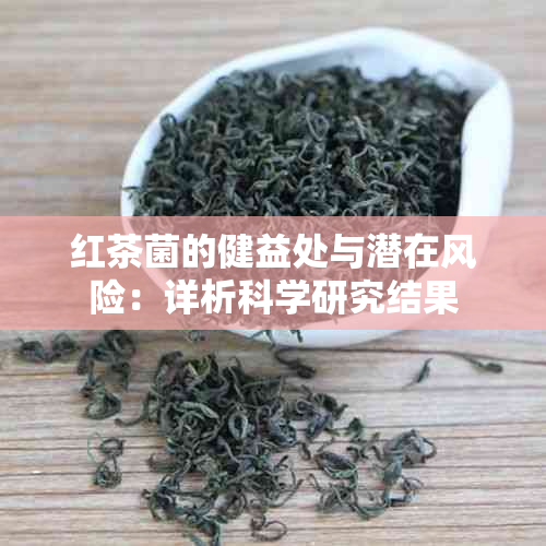 红茶菌的健益处与潜在风险：详析科学研究结果