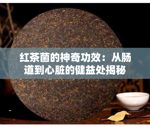 红茶菌的神奇功效：从肠道到心脏的健益处揭秘