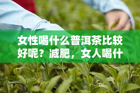 女性喝什么普洱茶比较好呢？减肥，女人喝什么普洱茶好！