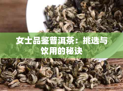 女士品鉴普洱茶：挑选与饮用的秘诀