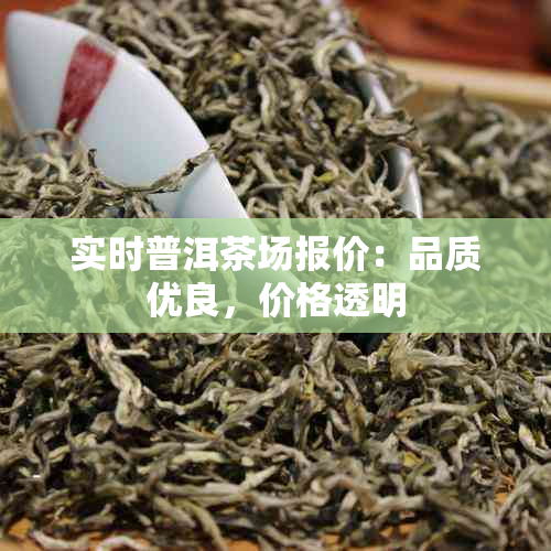 实时普洱茶场报价：品质优良，价格透明