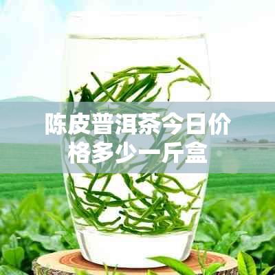 陈皮普洱茶今日价格多少一斤盒