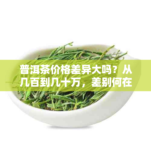 普洱茶价格差异大吗？从几百到几十万，差别何在？