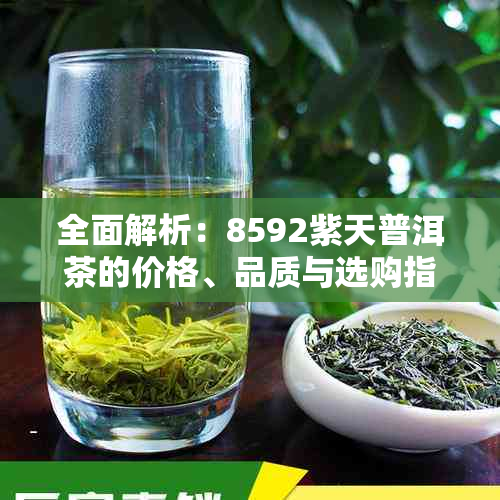 全面解析：8592紫天普洱茶的价格、品质与选购指南，解答你的所有疑问