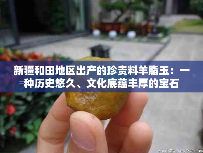 新疆和田地区出产的珍贵料羊脂玉：一种历史悠久、文化底蕴丰厚的宝石