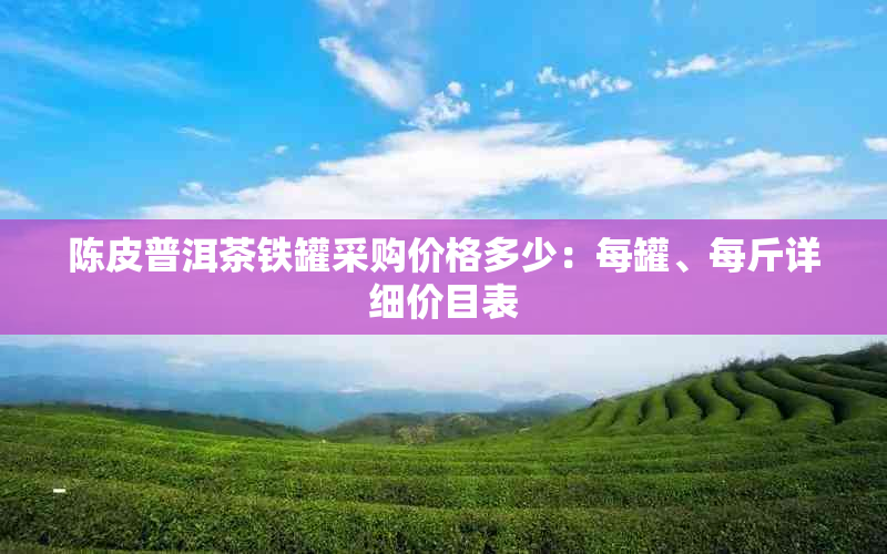 陈皮普洱茶铁罐采购价格多少：每罐、每斤详细价目表