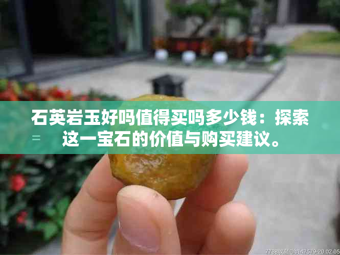 石英岩玉好吗值得买吗多少钱：探索这一宝石的价值与购买建议。