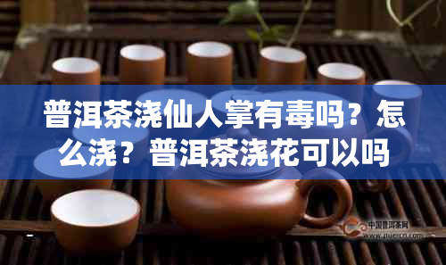 普洱茶浇仙人掌有吗？怎么浇？普洱茶浇花可以吗？