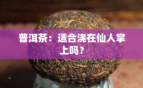 普洱茶：适合浇在仙人掌上吗？