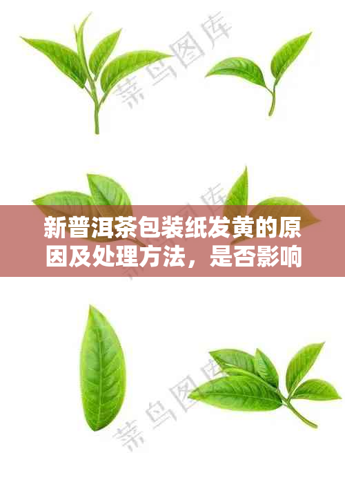 新普洱茶包装纸发黄的原因及处理方法，是否影响茶叶品质和饮用安全？