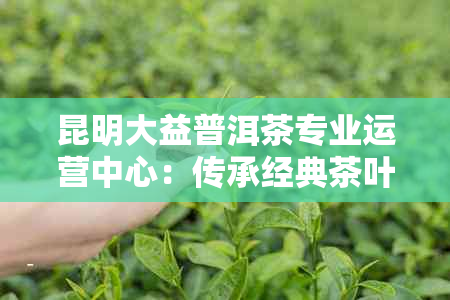 昆明大益普洱茶专业运营中心：传承经典茶叶文化，提供优质服务体验