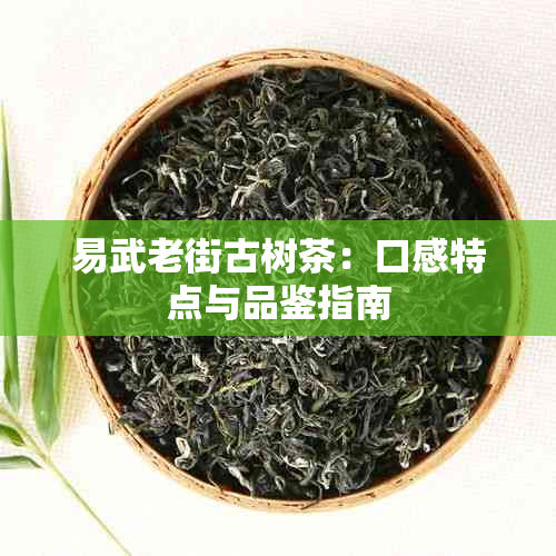 易武老街古树茶：口感特点与品鉴指南