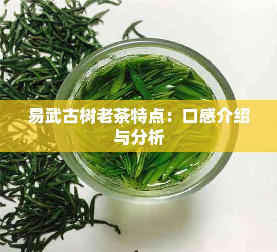 易武古树老茶特点：口感介绍与分析