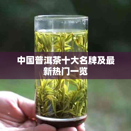 中国普洱茶十大名牌及最新热门一览