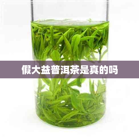 假大益普洱茶是真的吗