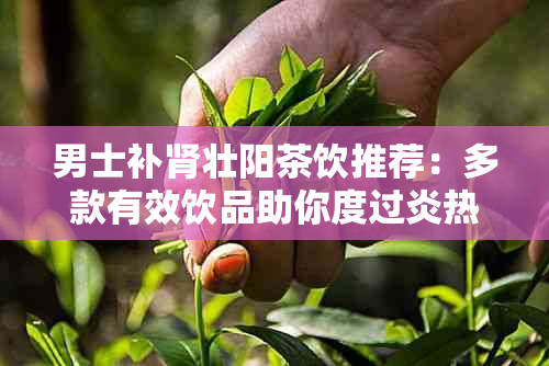 男士补肾壮阳茶饮推荐：多款有效饮品助你度过炎热天