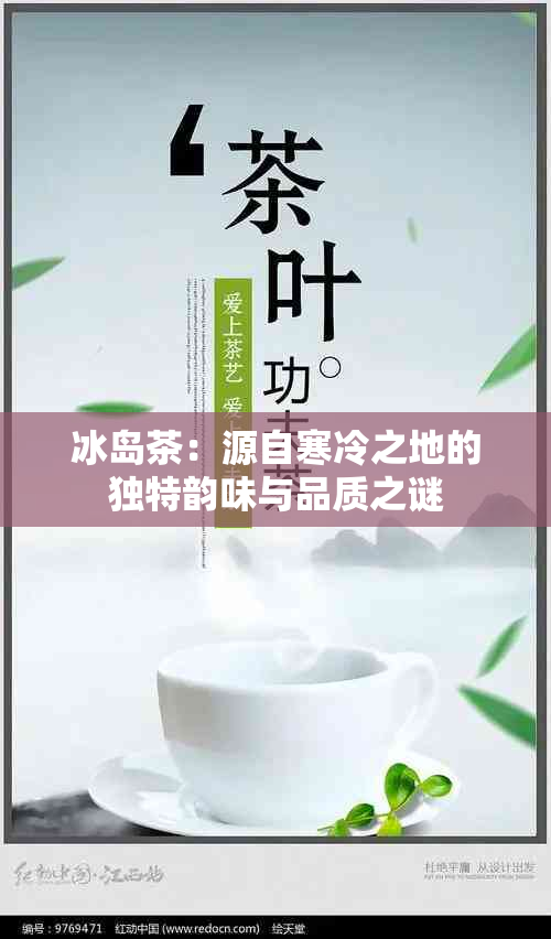 冰岛茶：源自寒冷之地的独特韵味与品质之谜