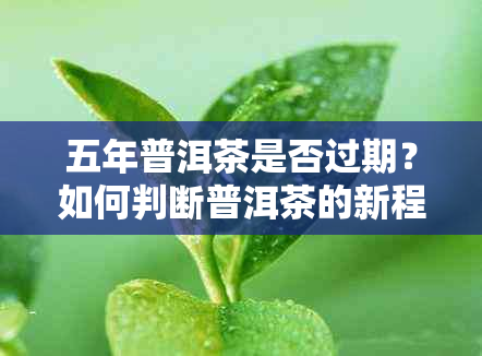 五年普洱茶是否过期？如何判断普洱茶的新程度和品质？