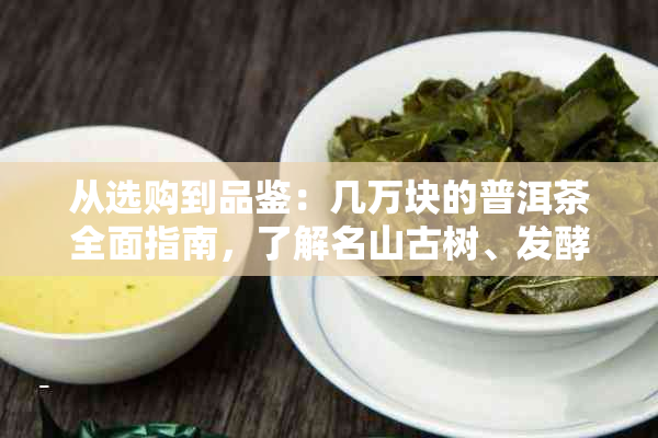 从选购到品鉴：几万块的普洱茶全面指南，了解名山古树、发酵工艺和品饮技巧