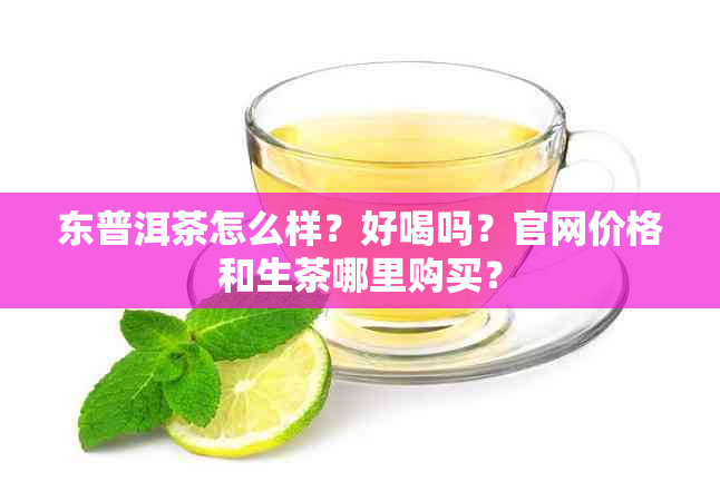 东普洱茶怎么样？好喝吗？官网价格和生茶哪里购买？