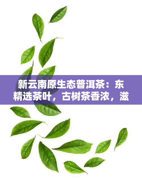 新云南原生态普洱茶：东精选茶叶，古树茶香浓，滋味醇厚回