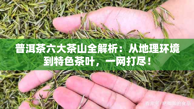 普洱茶六大茶山全解析：从地理环境到特色茶叶，一网打尽！