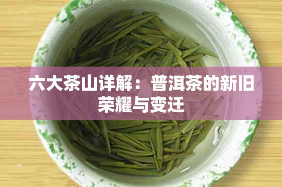 六大茶山详解：普洱茶的新旧荣耀与变迁