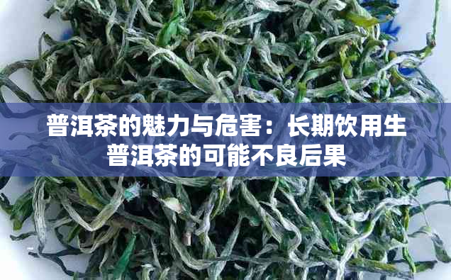 普洱茶的魅力与危害：长期饮用生普洱茶的可能不良后果