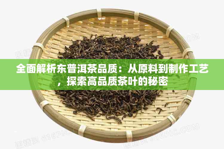 全面解析东普洱茶品质：从原料到制作工艺，探索高品质茶叶的秘密