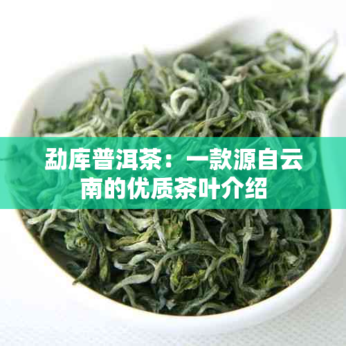 勐库普洱茶：一款源自云南的优质茶叶介绍