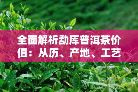 全面解析勐库普洱茶价值：从历、产地、工艺到市场影响