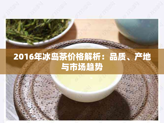 2016年冰岛茶价格解析：品质、产地与市场趋势