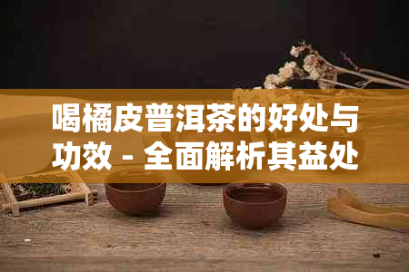 喝橘皮普洱茶的好处与功效 - 全面解析其益处、效果及注意事项