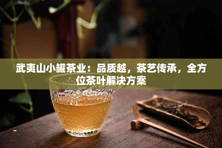 武夷山小罐茶业：品质越，茶艺传承，全方位茶叶解决方案