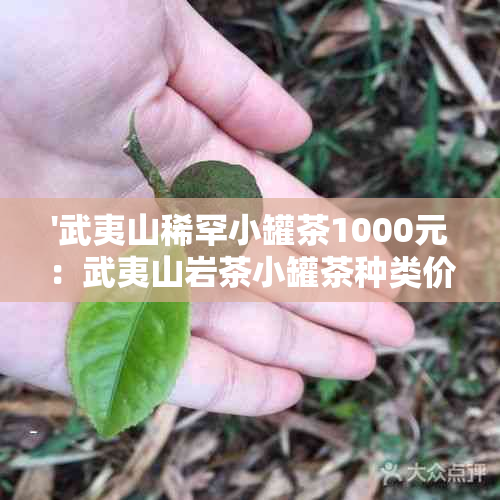 '武夷山稀罕小罐茶1000元：武夷山岩茶小罐茶种类价格'