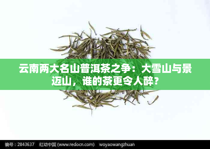 云南两大名山普洱茶之争：大雪山与景迈山，谁的茶更令人醉？