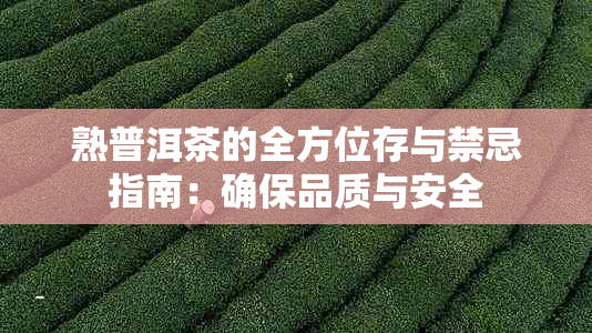 熟普洱茶的全方位存与禁忌指南：确保品质与安全