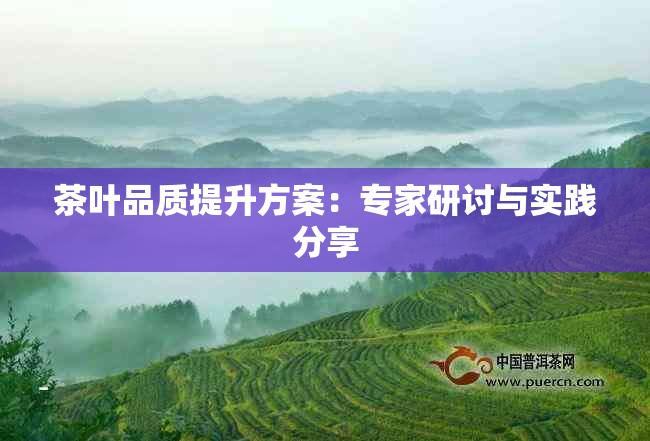 茶叶品质提升方案：专家研讨与实践分享