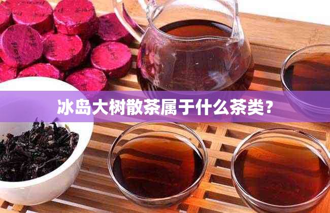 冰岛大树散茶属于什么茶类？