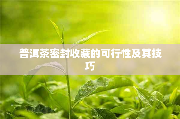 普洱茶密封收藏的可行性及其技巧