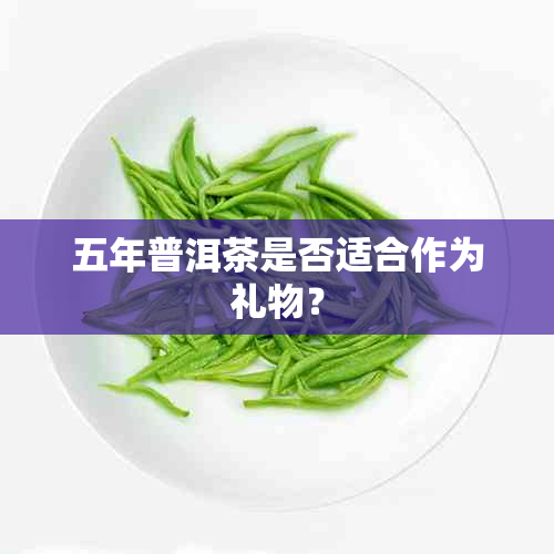 五年普洱茶是否适合作为礼物？