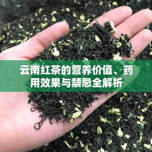 云南红茶的营养价值、用效果与禁忌全解析