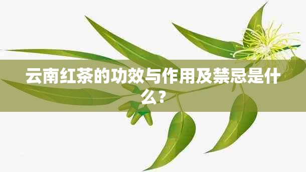 云南红茶的功效与作用及禁忌是什么？