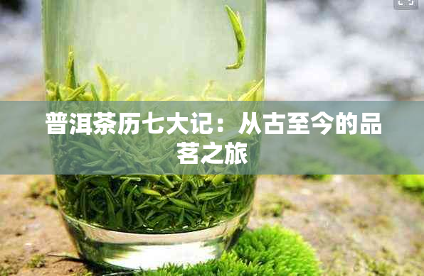 普洱茶历七大记：从古至今的品茗之旅