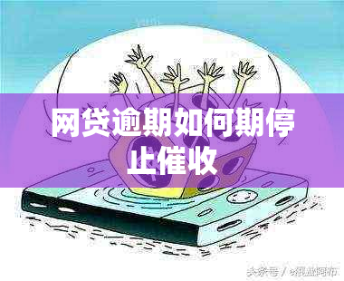 网贷逾期如何期停止