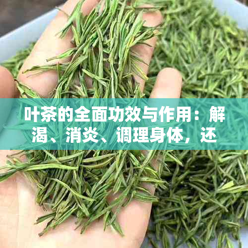 叶茶的全面功效与作用：解渴、消炎、调理身体，还能预防哪些疾病？