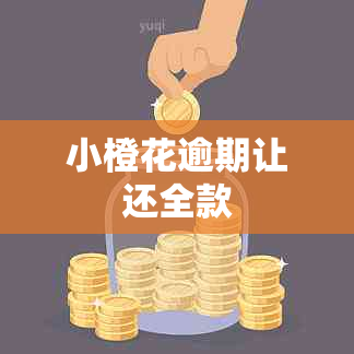 小橙花逾期让还全款