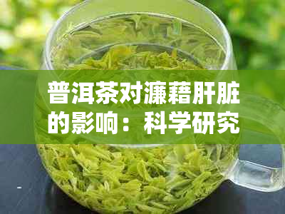 普洱茶对濂藉肝脏的影响：科学研究的发现与分析